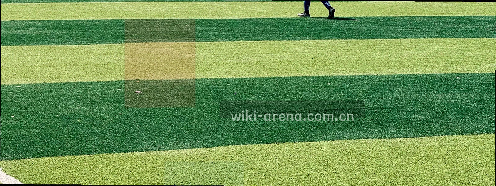 深绿底色上荧光线条构成的抽象数据纹理